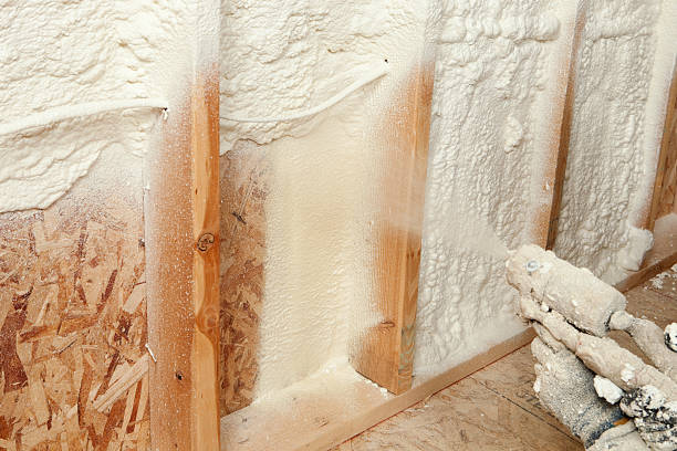 Types of Insulation We Offer in East Foothills, CA